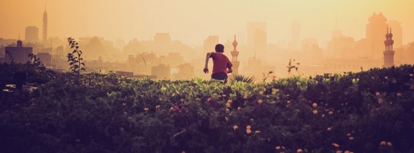 Duis vulputate elit in elit