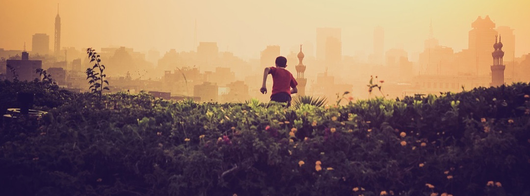 Duis vulputate elit in elit